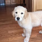 clyde augustus fincher - @clydeaugustusfincher - Instagram
