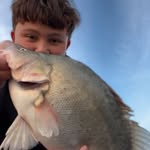 Clyde Modra - @clydefishes - Instagram
