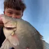 ClydeModra 🇦🇺🎣 - @clydesfishies - TikTok