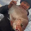 CommercialFisho🇦🇺 - @clydefishes - TikTok