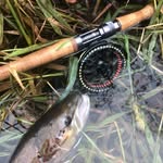 Fish The Clyde - @fishtheclyde - Instagram