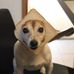 Clyde Fitzpatrick - Facebook