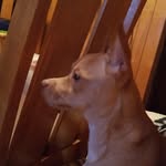 Clyde isaac leavitt frankson - @franksonclydeisaacleavitt - Instagram