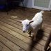 Clydie Gable - Facebook
