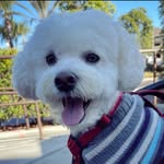 Clyde George Ayoub - @clyde_thecloud - Instagram