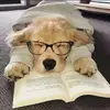 clydehart - @clydehart - TikTok