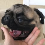 ČŁŸDĘ———————————————hope:) - @s_p_i_c_y_nug - Instagram