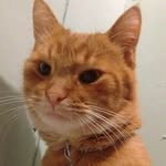 Hope, Clyde - @the.world.of.hope.and.clyde - Instagram