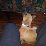 Clyde Hunt - @clyde.hunt.9085 - Instagram