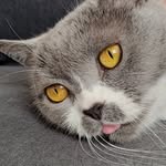 Clyde Jackson - @clyde.jackson2001 - Instagram