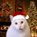 Clyde Jarred Andrade - Facebook