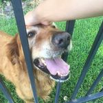 Clyde Key - @stand.up.for.clyde - Instagram