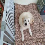 HOSANG(Clyde) KIM - @clyde_kimmy - Instagram