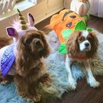 Emily Kline - @clyde_n_frank - Instagram