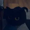 Clydinou - @clydekoch - TikTok