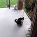 Clyde Kramer - Facebook