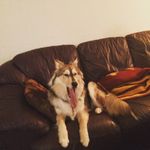 J Nick Kunkel - @modern_day_clyde - Instagram