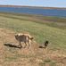 Clyde Lake - Facebook