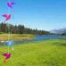 Clyde Land - Facebook