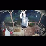Clyde Lee - @notlike_clyde - Instagram