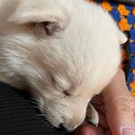 Clyde Lee - @clyde.lee.921 - Instagram