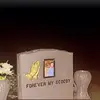 Li Clyde - @li.clyde - TikTok