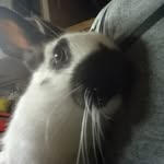 @clyde_linpin - Instagram