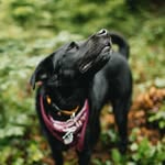 Clyde Linquist - @clyde_linquist - Instagram
