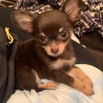 Clyde Logans Lucky Day - @clyde_logans_lucky_day - Instagram