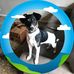 Clyde Lorentzen - Facebook