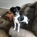 Clyde Lorentzen - Facebook