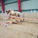 CLYDE_LOVE - @clyde_love_ - Instagram