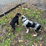 Clyde Marshall - @clyde.marshall.925602 - Instagram