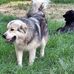 Clyde McCall - Facebook