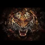 Clyde McCall - @clyde.mccall.7 - Instagram