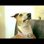 Clyde McLean - @clyde_mclean - Instagram