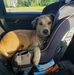 Clyde Nicholson - Facebook