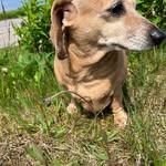 Clyde Parrill - @clyde.parrill - Instagram