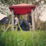 Clyde Rogers - @muchgeniusgiga - Instagram