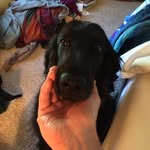 Clyde Rogers - @zxrogers - Instagram