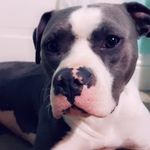 Clyde Shaffer - @clydey_boy_forever - Instagram