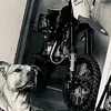 Clyde Sheppard - @clydesheppard - TikTok