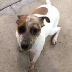 Clyde Sorrell - @sorrellclyde - Instagram