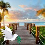 Clyde Starling - @starlingclyde - Instagram