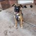 Clyde Thompson - Facebook