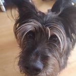 Clyde Thompson - @clydethompson6260 - Instagram