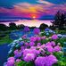 Clyde Ward - Facebook