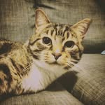 clyde wheeler - @clyde.wheeler567 - Instagram