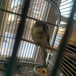 Clyde wright - @wrightanimals - Instagram