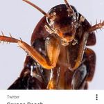 Coach - @coach__roach - Instagram